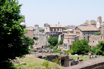 Palatine Hill & The Roman Forum