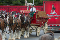 Video Of The Budweiser Clydesdales
