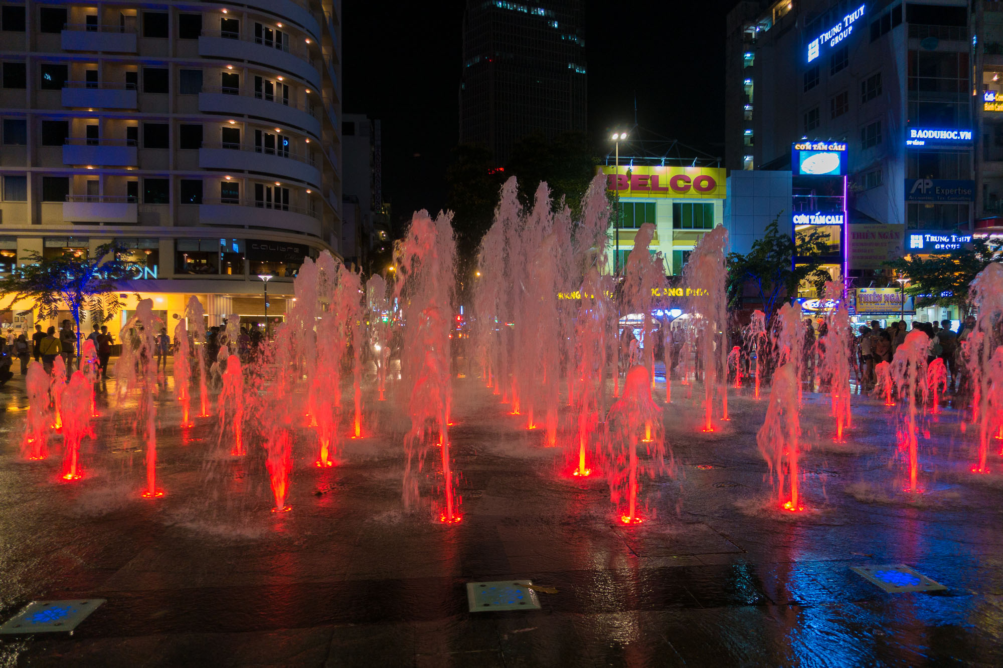 DSC01115.jpg