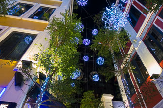 DSC01114.jpg