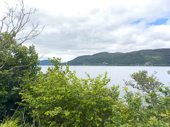 IMG_3315.jpg