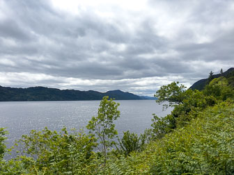 IMG_3329.jpg
