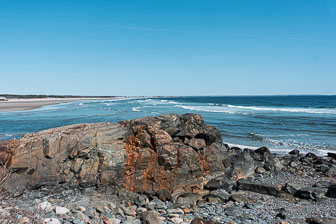 _DSC0505.jpg