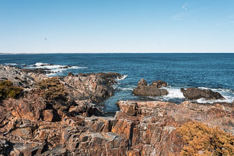 _DSC0602.jpg