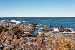 Video - Marginal Way