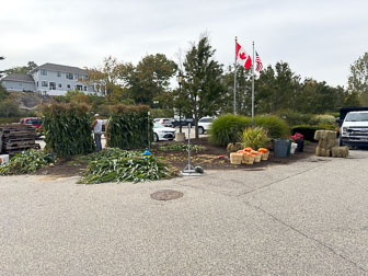 IMG_3961.jpg