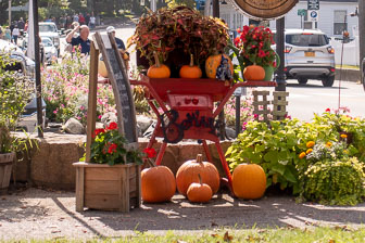 DSC04374.jpg