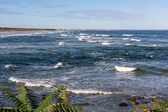 DSC07929.jpg
