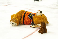 Teddy Bear Toss Video
