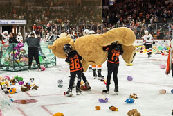 Teddy Bear Toss Video