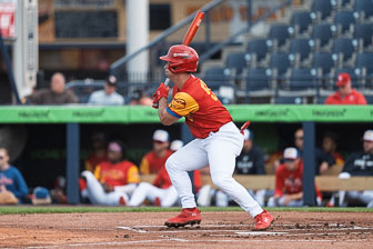 Fightin Phils - 29 May 2025 - Game 1