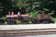 Cass Scenic Railroad State Park - August 2014