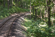 Video Of The Bald Knob Run