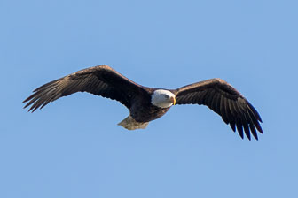 DSC09288-Edit.jpg