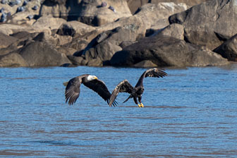 DSC04415-Edit.jpg