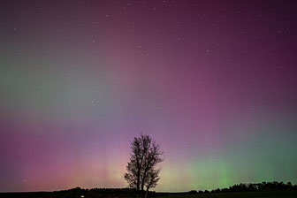 The Aurora - October 2024