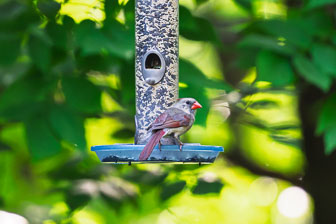 DSC01104-DxO_DeepPRIME-XD3-2.jpg