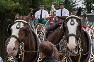 Video Of The Budweiser Clydesdales