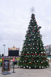 Tree Lighting Countdown - Video