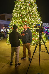 Tree Lighting Countdown - Video