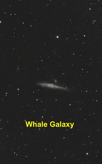 Whale-Galax-Labeled.jpg