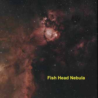 Fish-Head-Nebula-Labeled.jpg