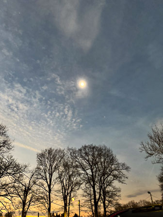IMG_7960.jpg