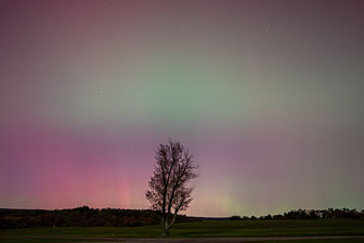 The Aurora - October 2024