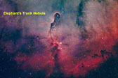 Elephant's-Trunk-Nebula---Labeled.jpg