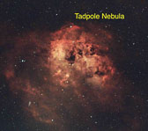 Tadpole-Nebula---Labeled.jpg