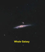 Whale-Galaxy-Labeled.jpg