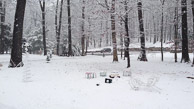 26 First Snow 11-27-12