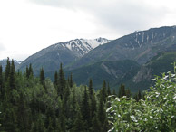 2008