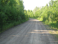 NM Alaska Dirt Road NM Alaska Dirt Road