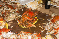 2014 Crab Fest