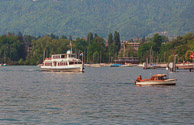 C134-31.jpg