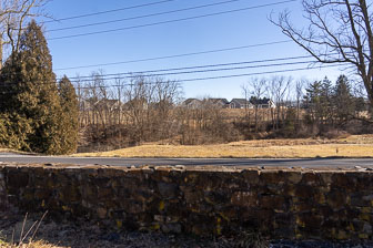 DSC08297.jpg