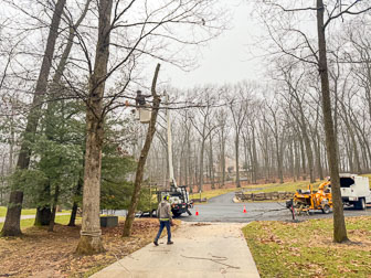 Tree Removal/Trimming - February 2024
